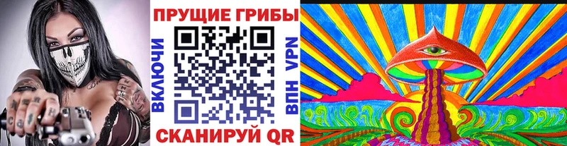 Галлюциногенные грибы Cubensis  хочу   мориарти состав  Спас-Клепики 